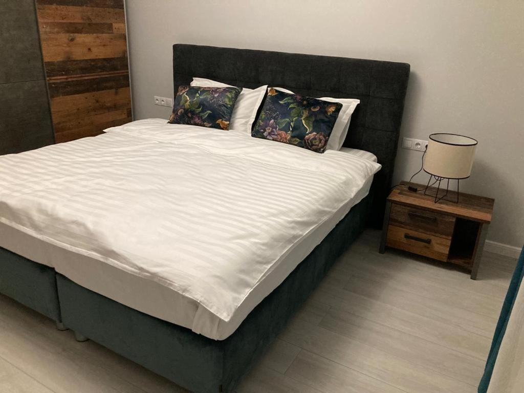 Sibiu Ezonia Central Apartment Bagian luar foto